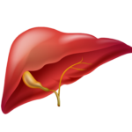 NuHepar for Fatty Liver